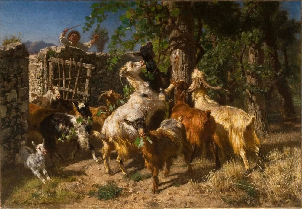 Capre in Libertà